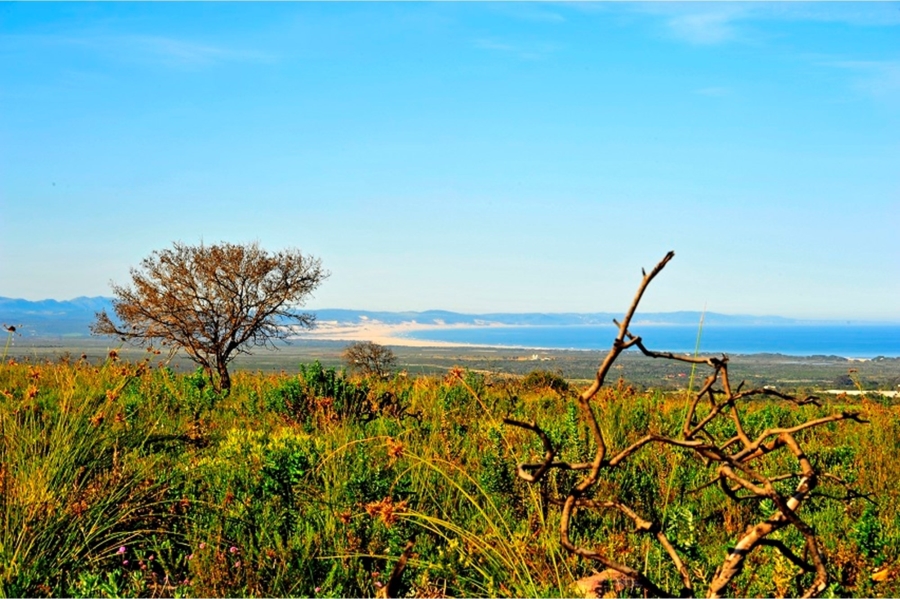 0 Bedroom Property for Sale in Kabeljauws Eastern Cape